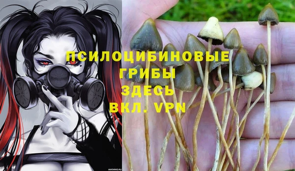 кристаллы Абаза