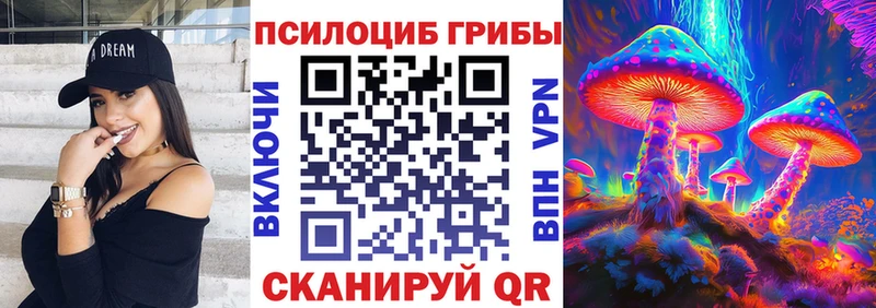 Галлюциногенные грибы Psilocybe  Сусуман 